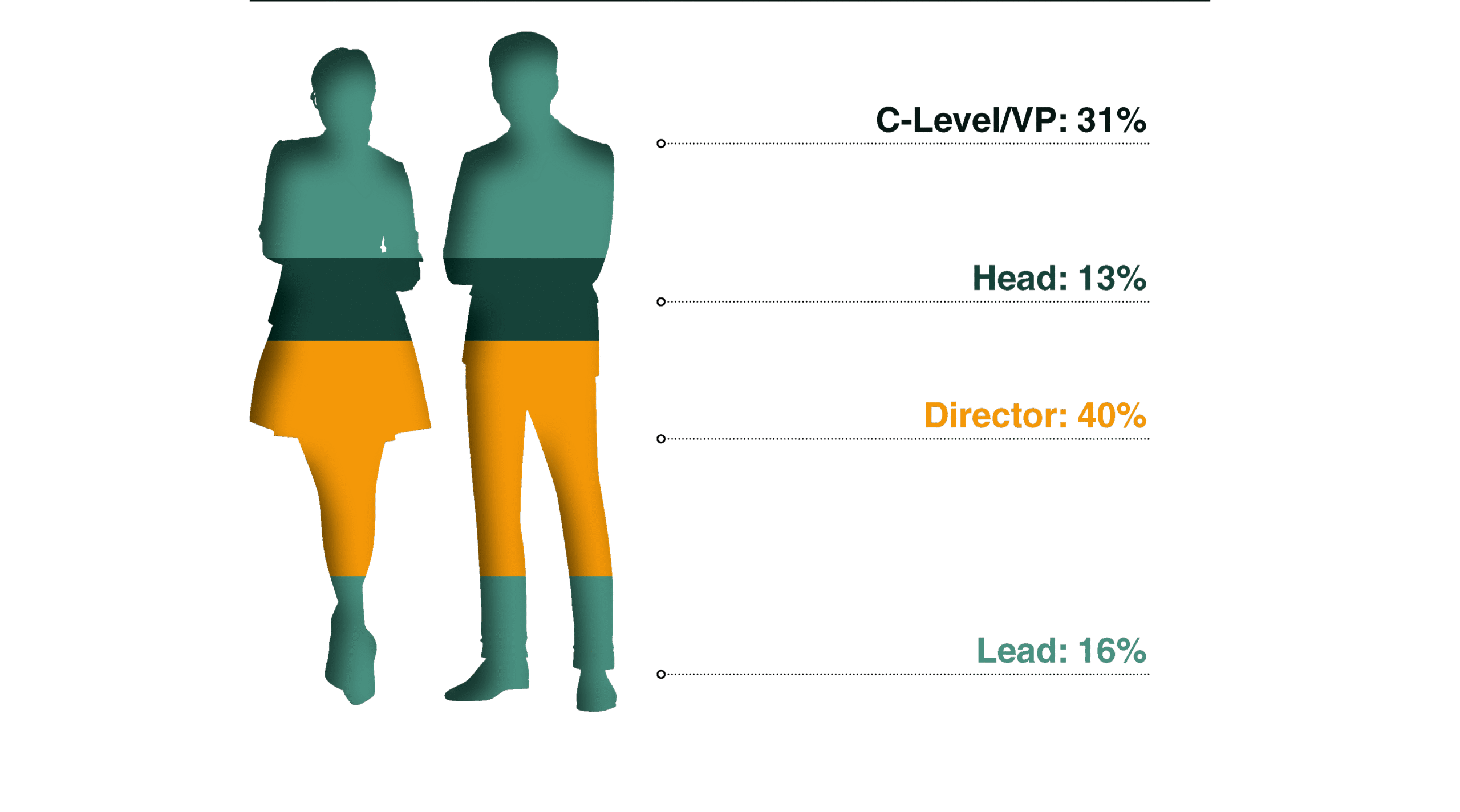 Seniority of Attendees graphic